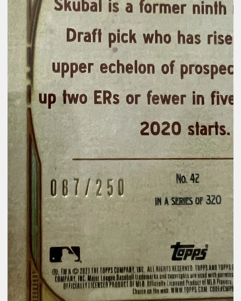 Tarik Skubal #42 – back